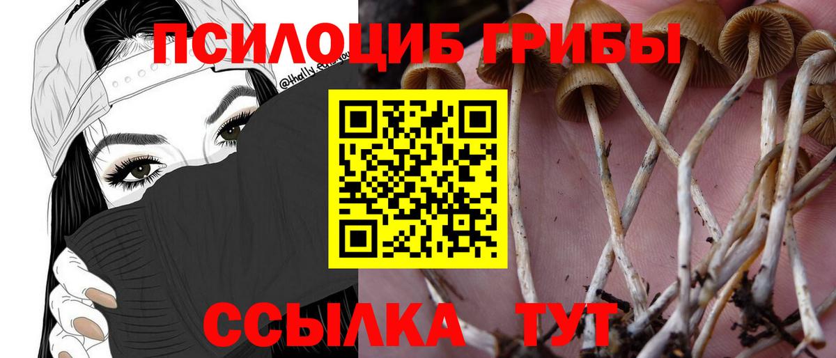 Галлюциногенные грибы мухоморы  Вход с VPN  Гатчина 